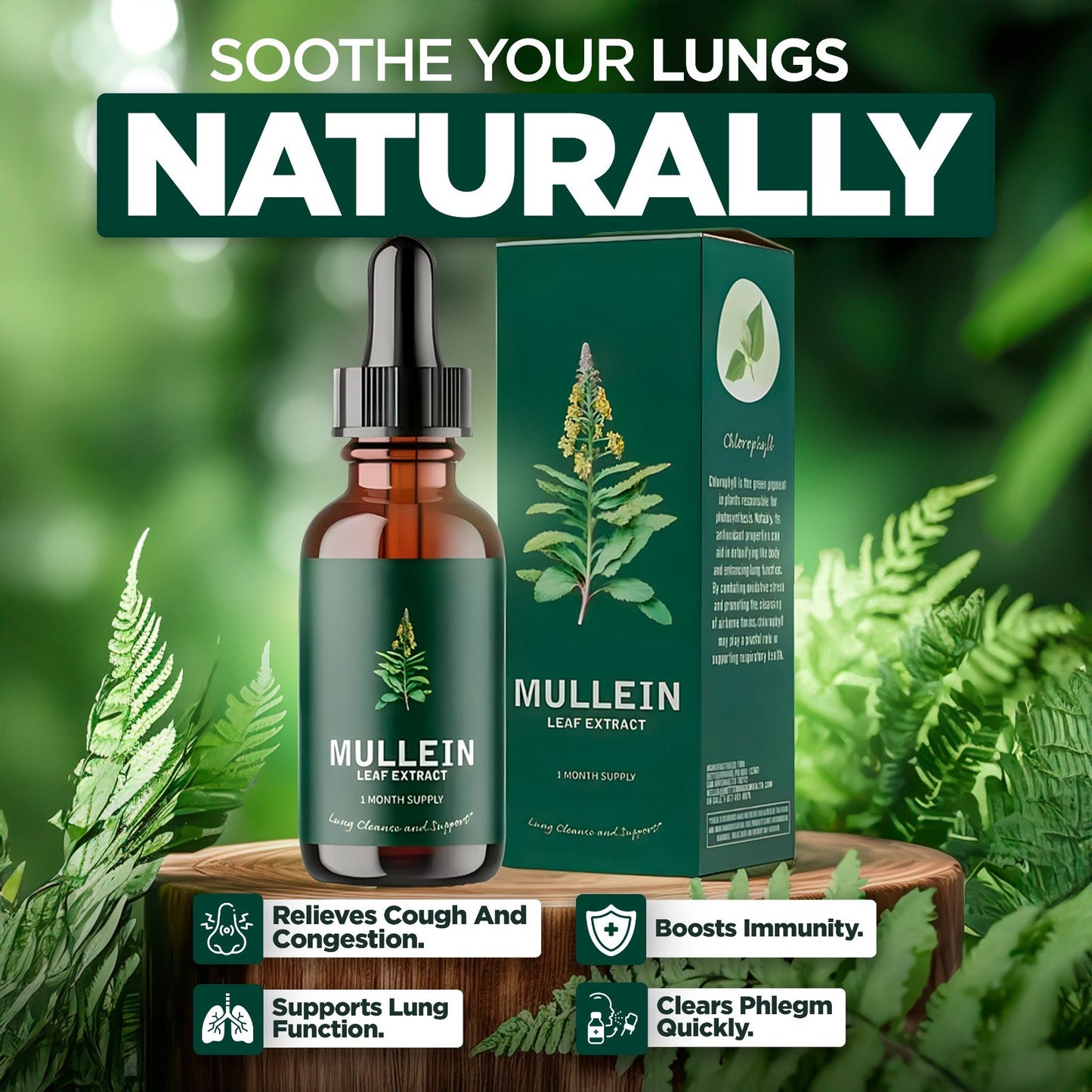 Mullein & Chlorophyll Extract